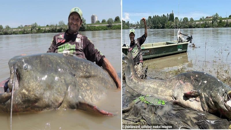 Amazing Nature: Italian Angler Catches Record-Breaking Catfish