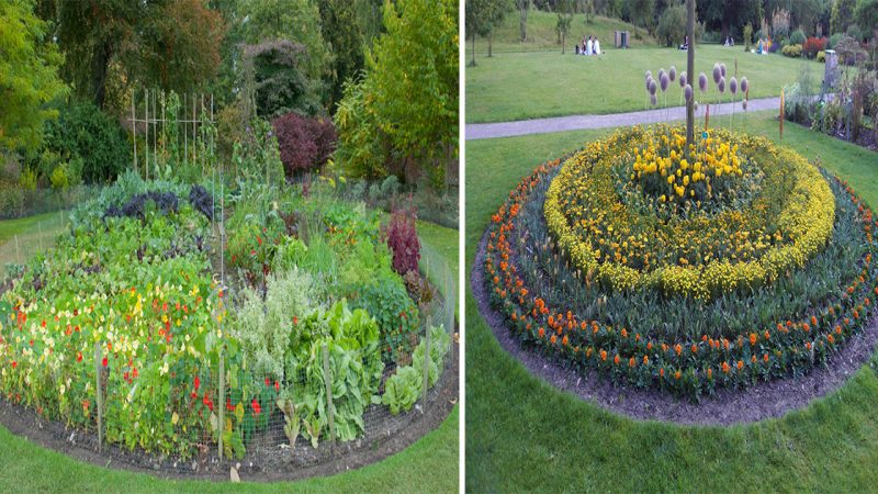 The Whirling Circle Garden: A Mesmerizing Oasis of Serenity