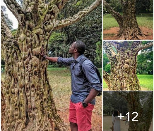 The Tree of Life – A Remarkable Sculpture with a Powerful Message from Ghana