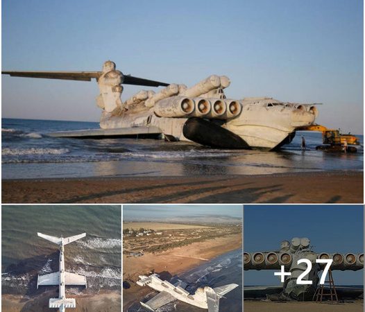 The Enigma of Caspian Sea’s Behemoth: Discover the Mythic Aircraft Rusting Along the Shoreline