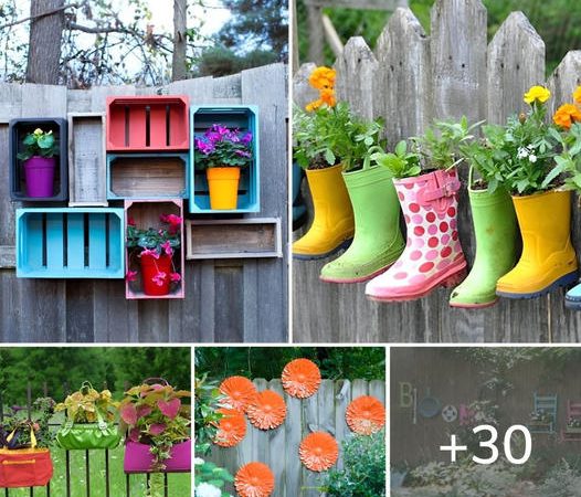 30 Eye-Popping Fence Decorating Ideas That Will Dress Up Your Lawn