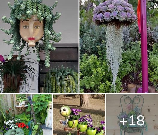 18 Cute and Unusual DIY (Hanging) Planters