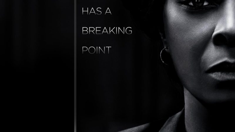 🎬 A Fall from Grace – When Love Becomes a Trap, and Trust Leads to Ruin